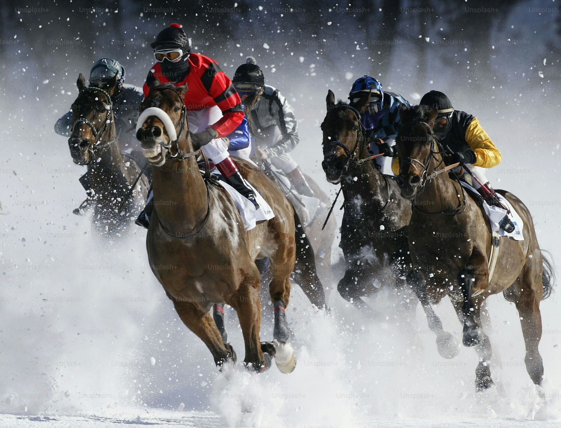 ST MORITZ - FERUARY 9: Horses take the first bend in the sprint race at the White Turf Horse Racing Meet held on the frozen lake in St Moritz, Switzerland on February 9, 2003.